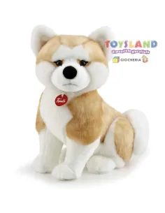 AKITA ASCANIO L (22665)