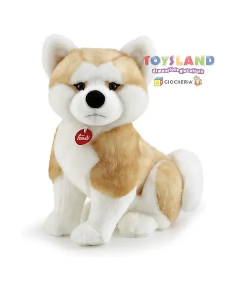 AKITA ASCANIO L (22665)