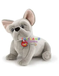 BULLDOG FRANCESE BERNARD M (22615)