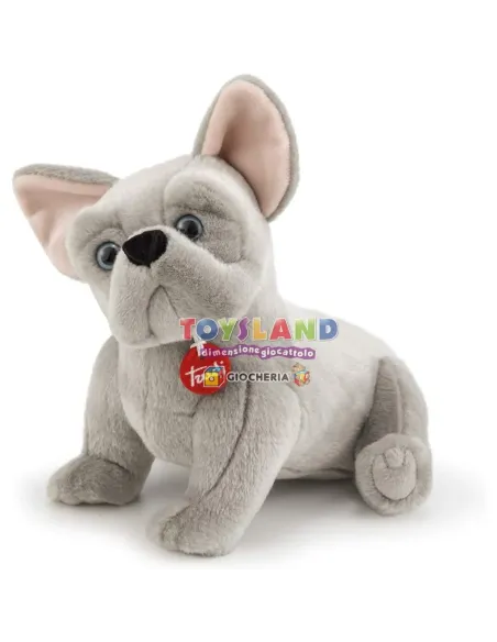 BULLDOG FRANCESE BERNARD M (22615)