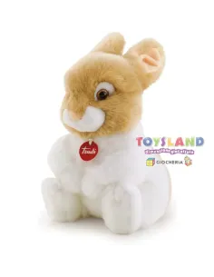 CONIGLIO OLIVIERO M (23743)