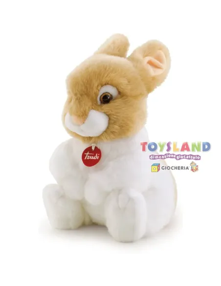 CONIGLIO OLIVIERO M (23743)