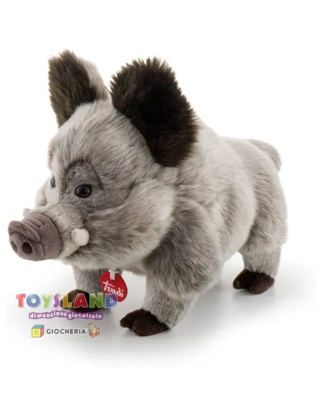 CINGHIALE LEVANTE M (24848)