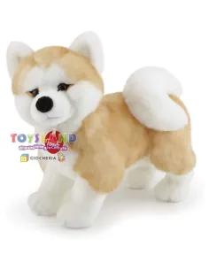 AKITA ASCANIO M (22664)