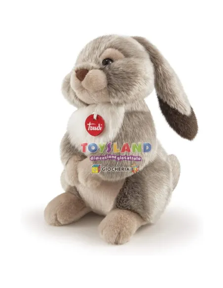 LEPROTTO LINO M (24014)