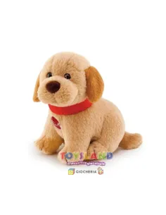 SW COL LABRADOR/TERRANOVA (29406 51188 51187)