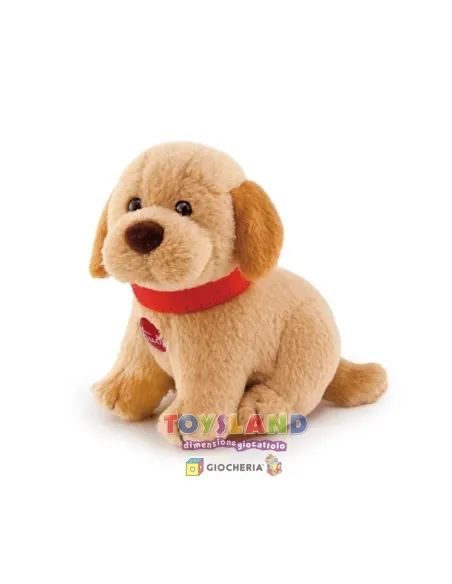 SW COL LABRADOR/TERRANOVA (29406 51188 51187)