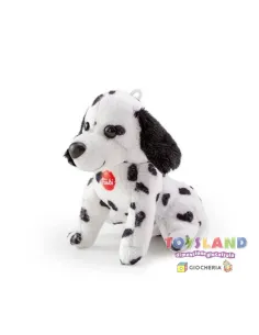 SW COL DALMATA (TUDF6000)