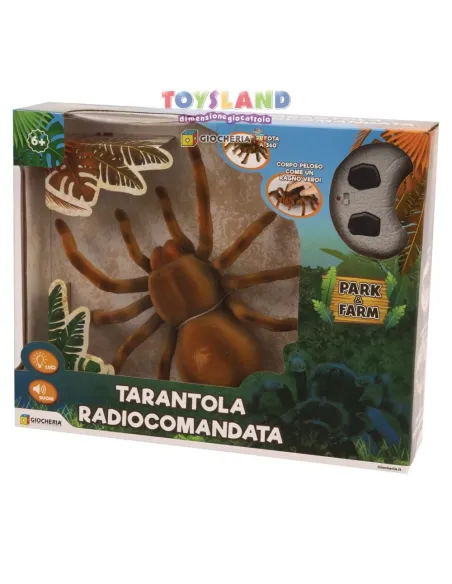 TARANTOLA RC (GGI220000)