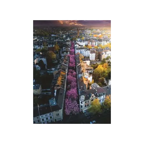 Ravensburger 17104 puzzle 1500 pz Landscape