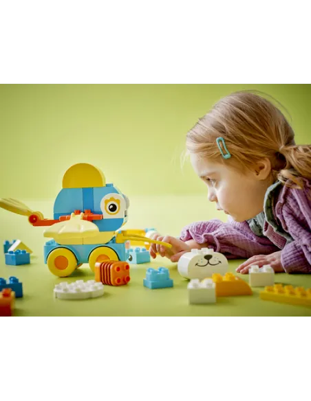ANIMALI SU RUOTE 3 IN 1 (10448)