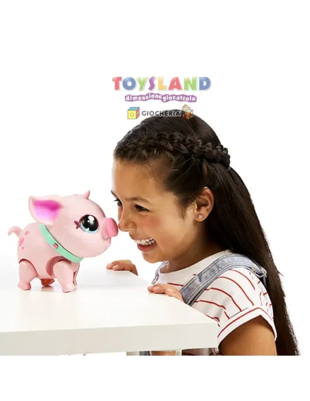 MY PETS PIGGLY (LPW00000)