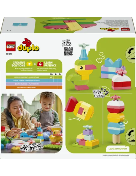 Scatola creativa colorata (10479)