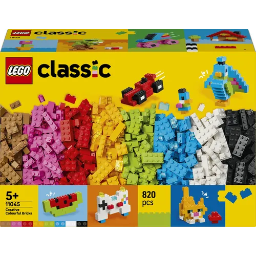 Mattoncini colorati creativi (11045)
