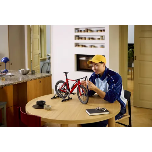 Bici da corsa (11380)