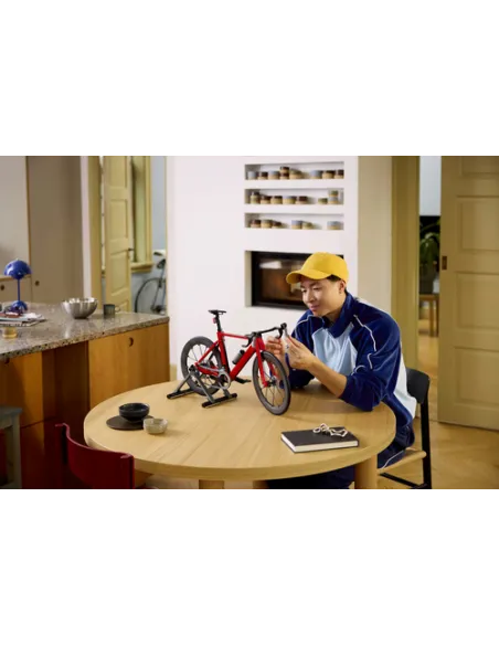 Bici da corsa (11380)