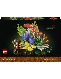 Funghi del bosco (11505)