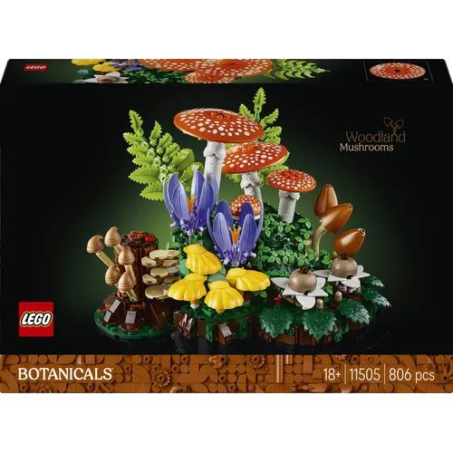 Funghi del bosco (11505)