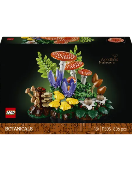 Funghi del bosco (11505)