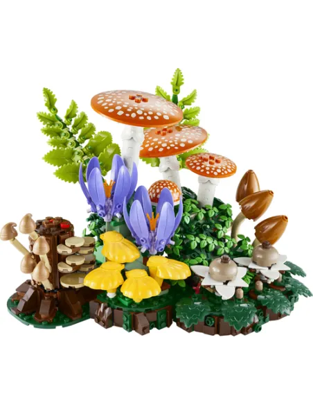 Funghi del bosco (11505)