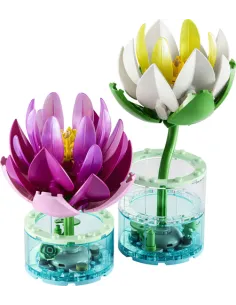 NINFEE BOTANICALS (11511) 2