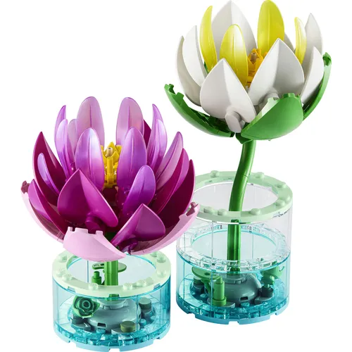 NINFEE BOTANICALS (11511)
