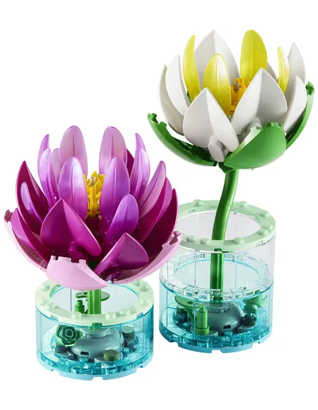 NINFEE BOTANICALS (11511)