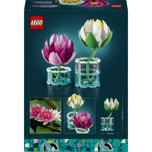 NINFEE BOTANICALS (11511)