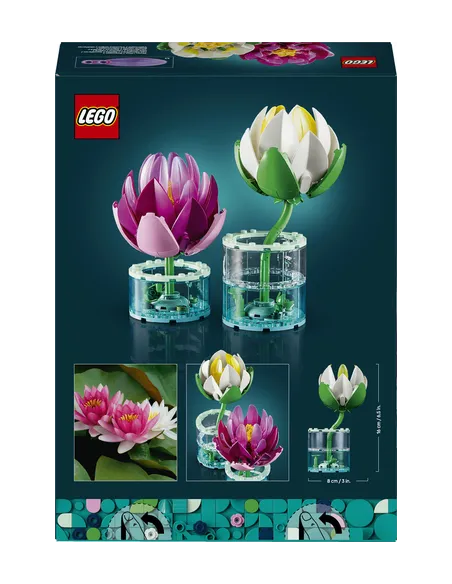 NINFEE BOTANICALS (11511)