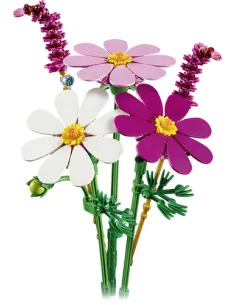 FIORI DI COSMOS BOTANICALS (11514) 2