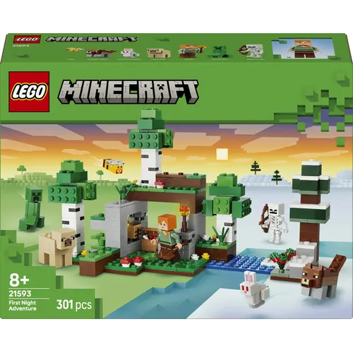 AVVENTURA DELLA PRIMA NOTTE MINECRAFT (21593)