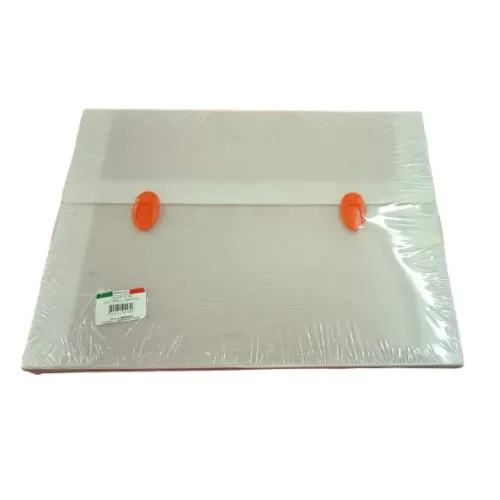 VALIGETTA PLASTICA 53x38x4 cm
