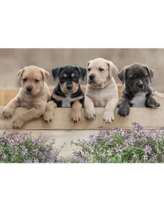Puzzle 500 pezzi Cuccioli di cane Lisciani Super Shine... 2