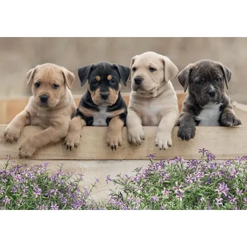Puzzle 500 pezzi Cuccioli di cane Lisciani...