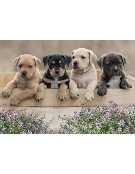 Puzzle 500 pezzi Cuccioli di cane Lisciani Super Shine con poster 70x50 cm