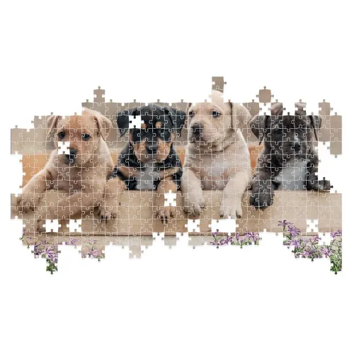 Puzzle 500 pezzi Cuccioli di cane Lisciani...