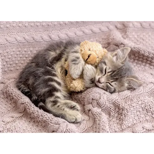 Puzzle 1000 pezzi Gattino siamese Lisciani...