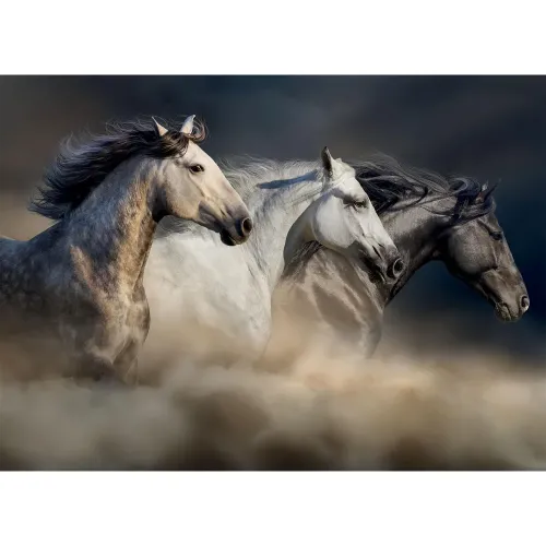 Puzzle 1000 pezzi Cavalli al galoppo Lisciani...