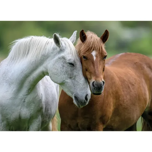 Puzzle 1000 pezzi Cavalli al galoppo Lisciani...