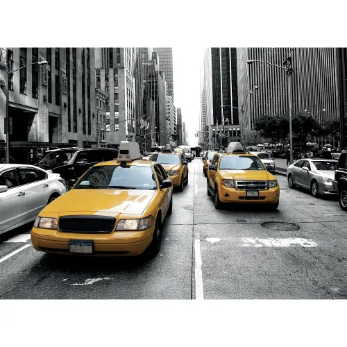 Puzzle 1000 pezzi New York skyline al tramonto...