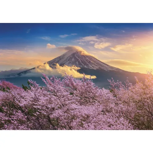 Puzzle 500 pezzi Giappone ciliegi in fiore a...