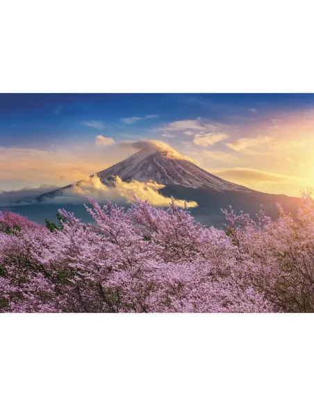 Puzzle 500 pezzi Giappone ciliegi in fiore a Osaka Lisciani Super Shine con poster