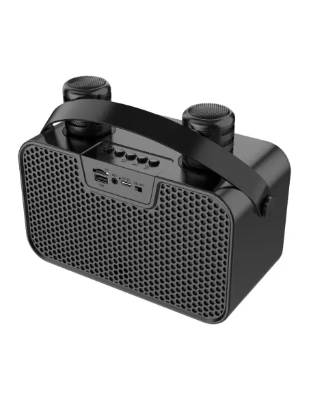 BONTEMPI CASSA WIRELESS CON 2 MICROFONI SENZA FILO E LUCI RGB (491045)