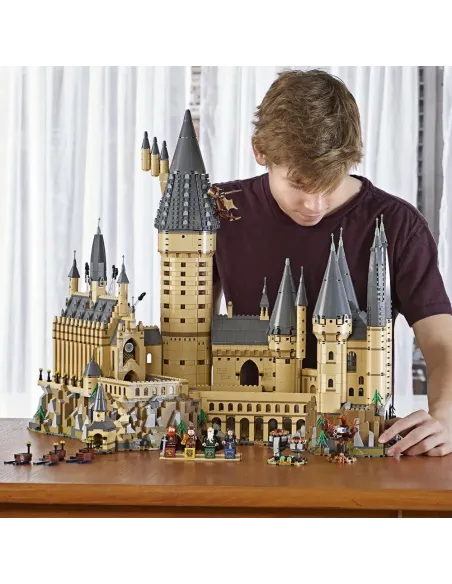 LEGO HARRY POTTER CASTELLO DI HOGWARTS DA COLLEZIONE (71043)