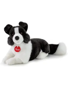 BORDER COLLIE SCOTT M (TUDN8000)