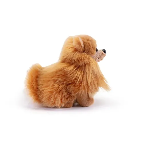 TRUDI CANE POMERANIA BISCUIT L (22348)