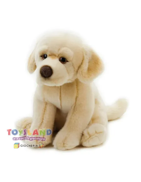 ORAZIO LABRADOR SEDUTO PICCOLO (742166)