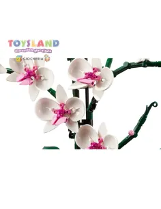 PIANTA D'ARREDAMENTO ORCHIDEA-ICONS (10311) 2