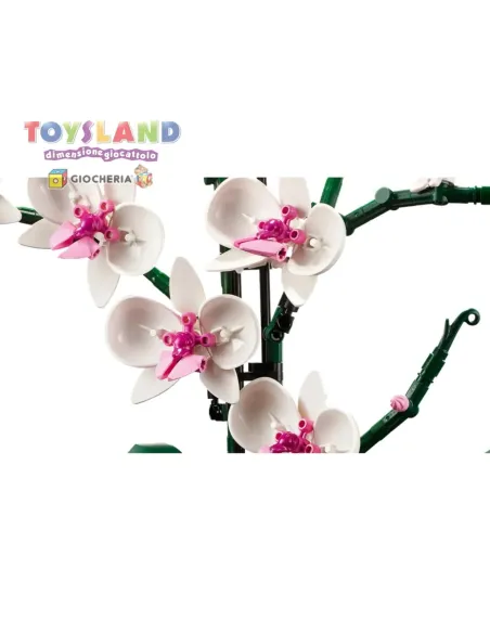 PIANTA D'ARREDAMENTO ORCHIDEA-ICONS (10311)