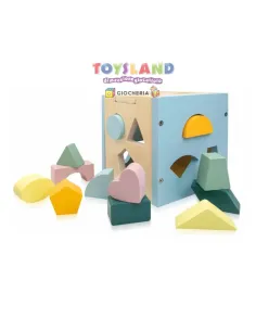 CUBO DELLE FORME (306844) 2